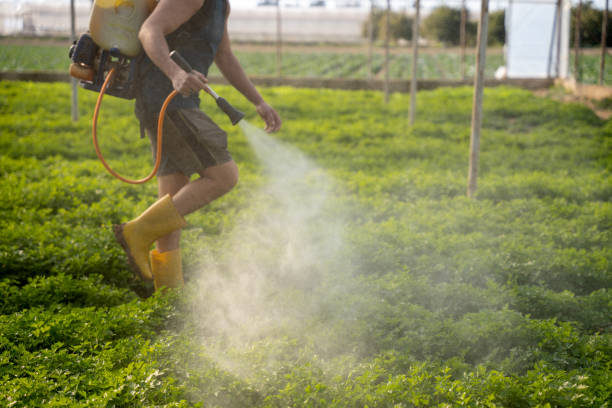 Best Affordable Pest Control Services  in Whitesboro, NY