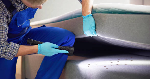Best Wasp Removal Services  in Whitesboro, NY