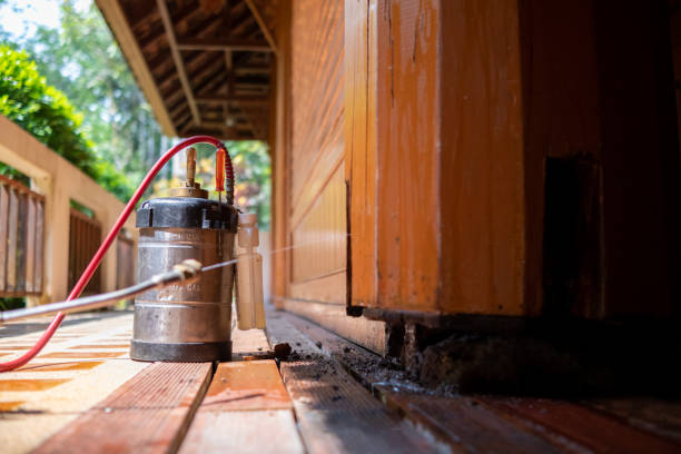 Best Exterminator Services  in Whitesboro, NY